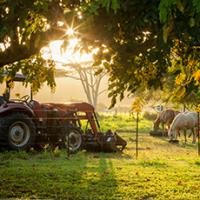 BI-Agri-TractorSunlight_1